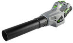 EGO 56V Rechargeable Blower & Line Trimmer - $159 each @ Masters eBay (Was $349)