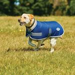 Win a WeatherBeeta Dog Parka 1200D Coat in Navy/Grey/White Worth $59.99