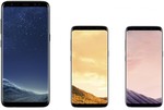 Samsung Galaxy S8 Black Only 64GB $777 (Free C&C or + Delivery) @ Harvey Norman