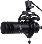 Alctron BC800 V2 Dynamic Broadcast Microphone $127.49 Delivered (Was $149.99) @ SWAMP