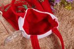 Christmas Tree Decoration Santa Claus Kids Candy Bag @$0.00+$9.99 Shipping