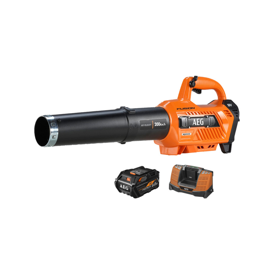 Aeg 2025 cordless blower