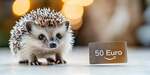 Win a 50€ Amazon Gift Card from Wuestenigel