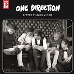 One Direction: Little Things - Free Music Video (12 Days of Christmas Promo)