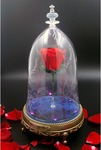 Win a Beauty and the Beast Enchanted Rose Speaker (Disney Licensed Product) from Gift This Present