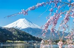 Japan Airlines Direct Flights to Tokyo from Melbourne $906 Return, Sydney $913 Return @ IWTF