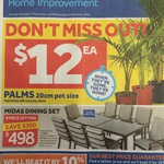  $59 Hitachi Tradie Drill Set and $12 Palm Trees Plus More @ Masters Home Improvement