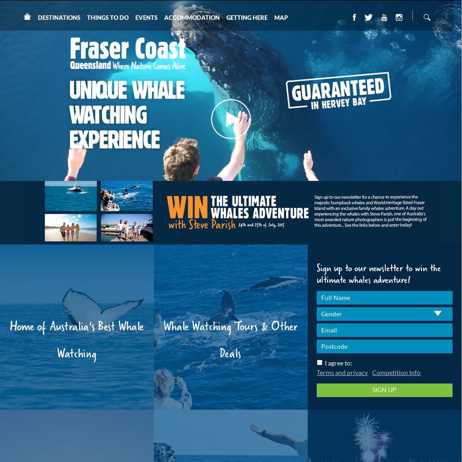 Win The Ultimate Whale Adventure With Steve Parish - Ozbargain Competitions