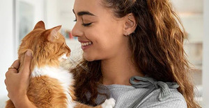 200 Everyday Rewards Points for Completing a Pet Insurance Quote Online @ Everyday Insurance
