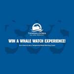 Win a Family Tangalooma Whale Watching Experience from Tangalooma Island Resort [No Travel]