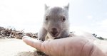 Win a Trip to Flinders Island Worth $3,550 from Tourism Tasmania