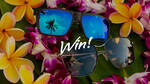 Win 2 Pairs of Maui Jim Sunglasses from Explore Hawaii