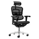 Ergohuman Plus Elite V2 Mesh Office Chair $569 (Was $649) + Delivery @ Temple & Webster