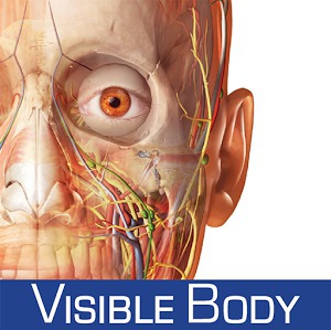 human anatomy atlas visible body coupon