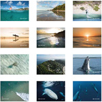 Win 1 of 5 2017 Byron Bay Calendars by Craig Parry