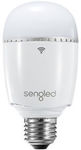 Sengled - Boost WI-FI Extending Dimmable LED Bulb - E27 @ eBay Bing Lee $17.00 Free C&C or $6 Postage