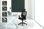 Ergolux EZ9 Ergonomic Mesh Office Chair $129.99 + Delivery (Was $299) @ Kogan