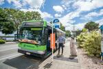 [QLD] Free Local Buses Every Weekend in Noosa Area