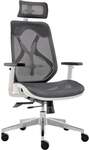 ErgoDuke Ultra-Flex Ergonomic High Back Office Chair with Headrest $189 + Delivery ($0 to Select Areas) @ Duke Living via MyDeal
