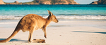 $20 off Minimum $80 Spend on Australian Activities @ Mix & Match | Travello