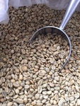 Ethiopian Sidamo Chire Coffee on SPECIAL $69 for 2 Kg Plus 250 Gram African Sensation Bonus @SYC