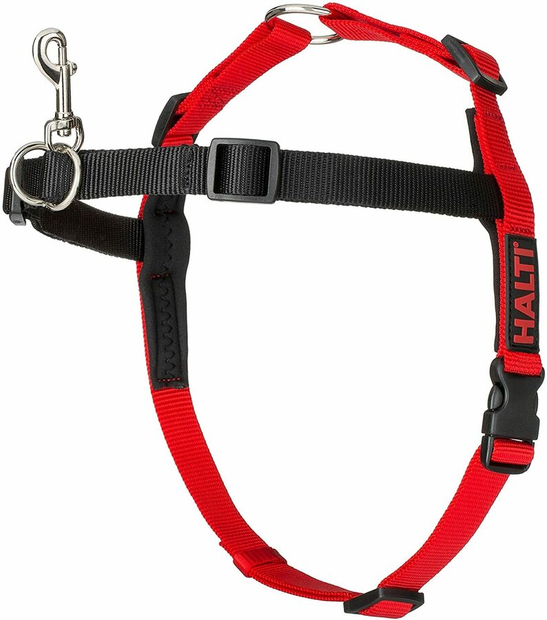 Halti Front Control Dog Harness (Black/Red) Medium $21.75 (Was $38 ...