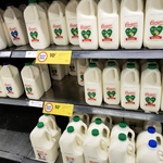[WA, Shortdated] Brownes Dairy Hi-Lo Milk 2L $0.10 (Was $3.50, Used By 17/02/2022) @ Coles (Innaloo)