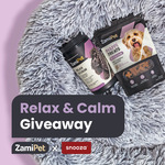 Win A Dog Calming Bundle, Value RRP $207, from ZamiPet + Snooza