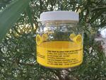 [WA] Free European Wasp Monitoring Trap @ Agriculture & Food Division, WA Dept of Primary Industries & Regional Development