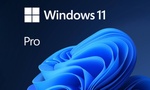 Licensed Microsoft Windows 11 Pro Product Key $27.99 @ License Choice via Groupon