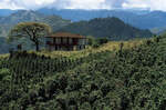 40% off Colombia Cauca SO 1kg $28.50, 500g $16.65 + Delivery ($0 w/ $69 Order, Delayed Dispatch Option) @ Lime Blue Coffee