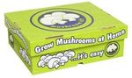 Mushroom Growing Kit Portobello White Button $12 @ Masters (Selected Stores)