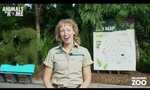 Free Virtual Tour of Melbourne Zoo @ Zoos Victoria YouTube