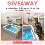 Win a ScoopFree Self-Cleaning Litter Box (Worth $247.29) from Bargain Boss