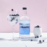 Cheeky Vodka Original and Other Flavours (700ml) $31.50 + Delivery ($0 with Prime) @ Bevmart Amazon AU