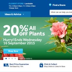 20% off ALL Plants @ Masters