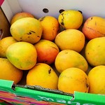 [QLD, Underwood] $10 Mangoes Per Tray @Yuen's Farmers Market Today