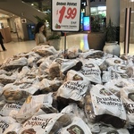 [NSW] 5kg Brushed Potatoes $1.99 ($0.39 Per kg) @ Country Growers Warringah Mall NSW