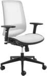 ErgoDuke 800 Series Mid-Back Manager Mesh Office Chair (White) $79 (Was $159) + Delivery @ Duke Living via MyDeal