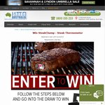 Win SteakChamp - Steak Thermometer for Perfect Steaks