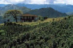 40% off Colombia Cauca Single Origin, 400g $12.47, 800g $22.07 + Delivery ($0 with $69 order, delay optional) @ Lime Blue Coffee