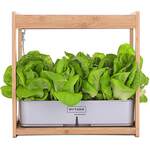 PLANTCRAFT 12-Pod Wooden Frame Hydroponic System $59 + Delivery ($0 to Select Areas / SYD C&C) @ Mytopia