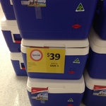 55L Willow Blue Cooler for $39 (Was $42 at 1/2 Price) at Coles