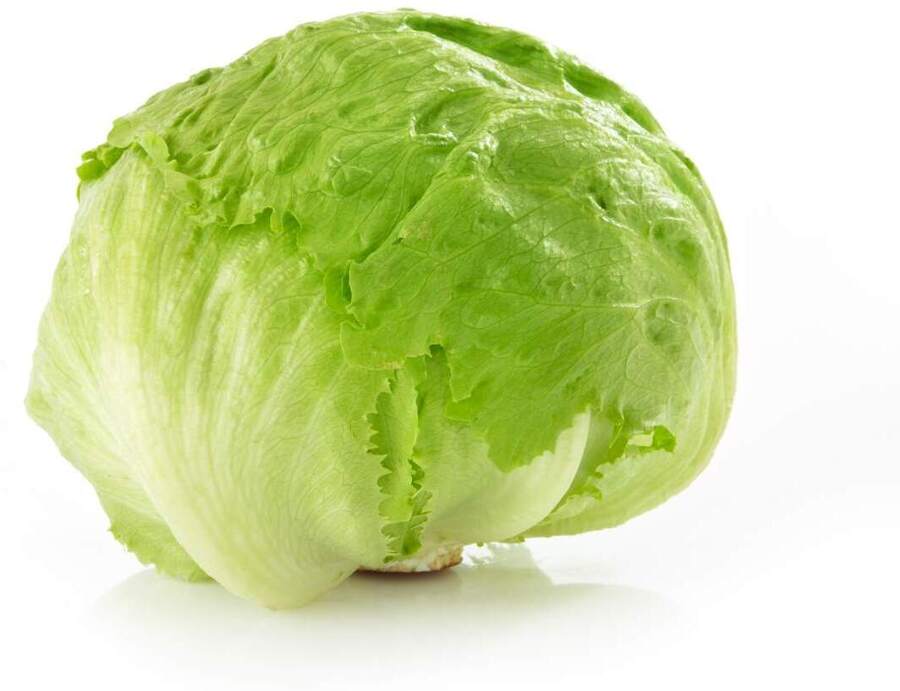 Iceberg Lettuce $2.95 Each + Delivery ($0 SYD C&C/ $120 Order) @ Dr Earth (Newtown, Neutral Bay, Westfield Hornsby)