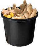 [NSW, QLD] Ginger Value Bucket $9.99 @ Harris Farm Markets