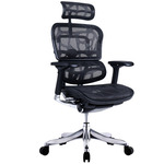 Ergohuman Plus Elite V2 Mesh Office Chair - $669 (RRP $749) + Shipping @ Temple and Webster