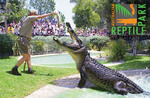 Australian Reptile Park Day Pass Central Coast $12.50 Normally $28.00 @ Scoopon [NSW]