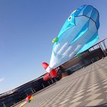 3D Huge Parafoil Giant Dolphin Kite with 2.6m Tail US $9.99 Delivered @ GearBest