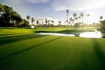 Win a Round of Golf for 8 People at The Palms Golf Course at Sanctuary Cove (QLD) from Bmag