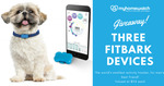 Win 1 of 3 FitBark Dog Activity Monitors Worth $112 from My Home Watch